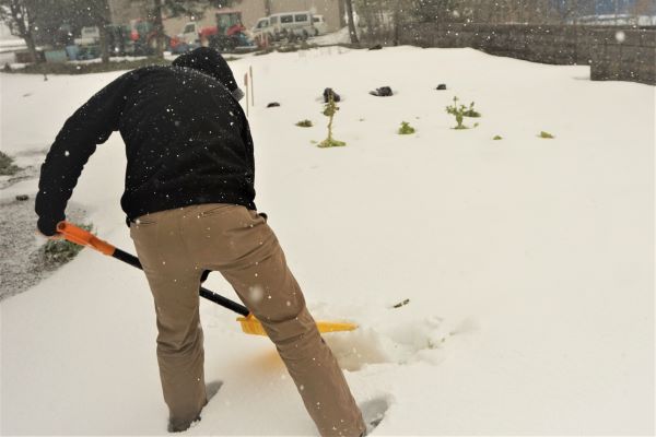 男の人が雪かきをしている