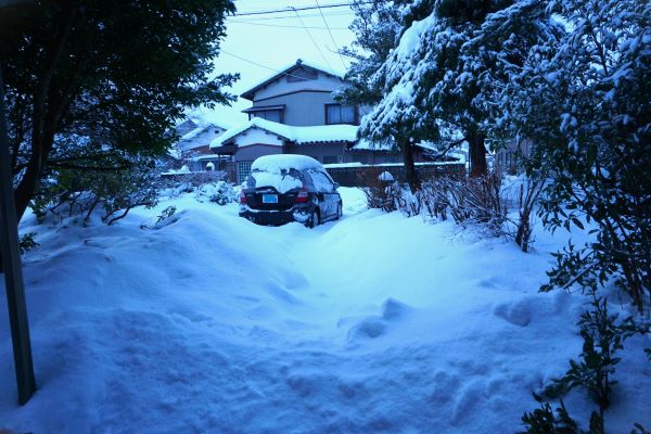 雪、車
