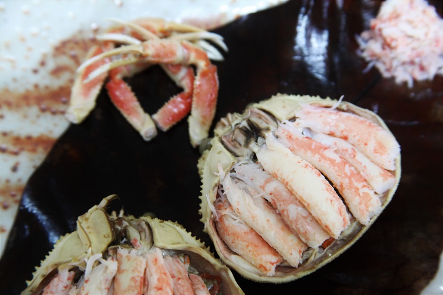 加賀には家で蟹を捌いて食べる習慣が根付く